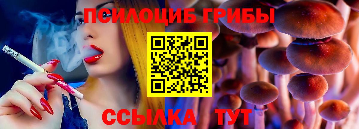 Галлюциногенные грибы ЛСД Армавир