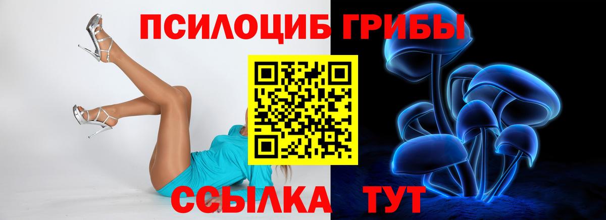 Галлюциногенные грибы Psilocybe  Галлюциногенные грибы мицелий  Вход с VPN  Армавир 